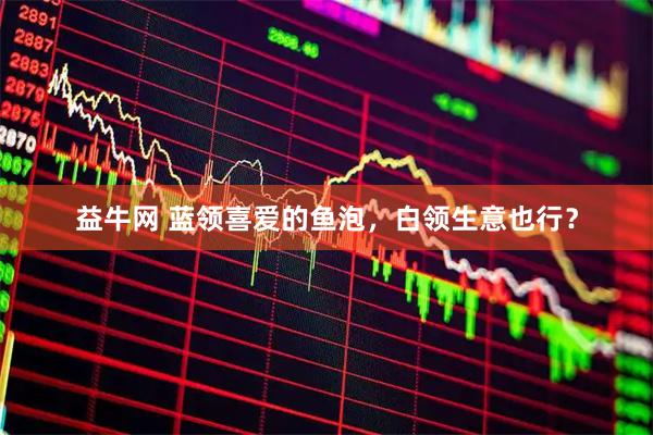 益牛网 蓝领喜爱的鱼泡，白领生意也行？