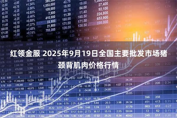 红领金服 2025年9月19日全国主要批发市场猪颈背肌肉价格行情
