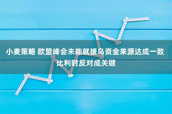 小麦策略 欧盟峰会未能就援乌资金来源达成一致 比利时反对成关键