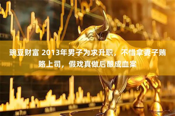 豌豆财富 2013年男子为求升职，不惜拿妻子贿赂上司，假戏真做后酿成血案