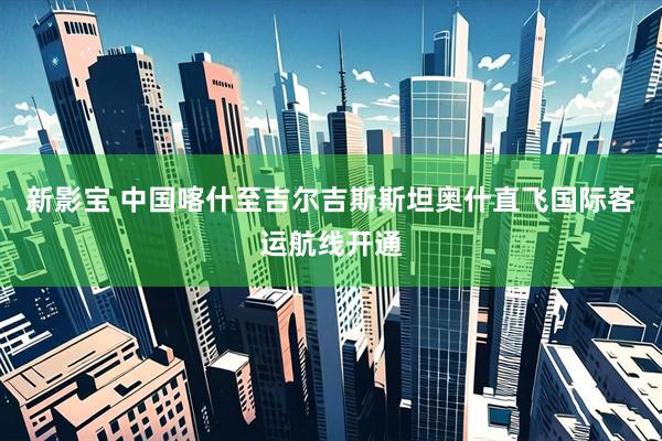 新影宝 中国喀什至吉尔吉斯斯坦奥什直飞国际客运航线开通